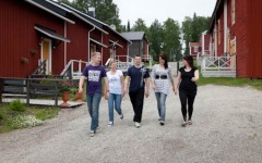lehti-uudet insinöörit